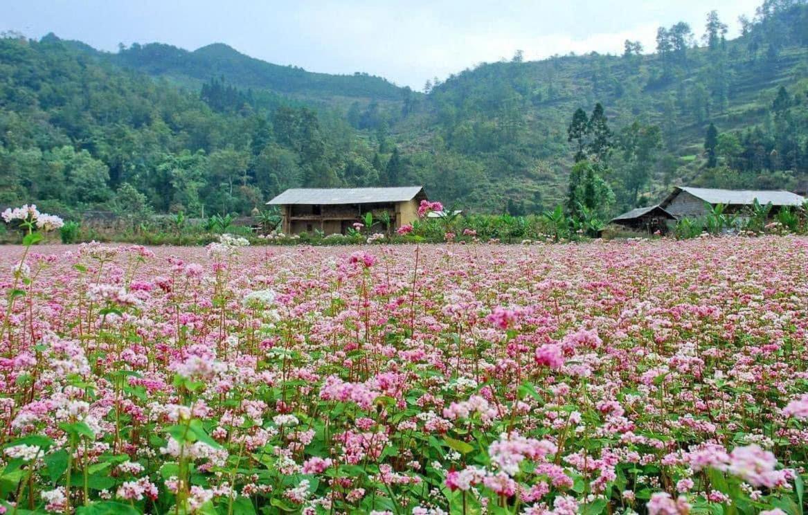 Thuy Anh Hotel Hà Giang Eksteriør billede