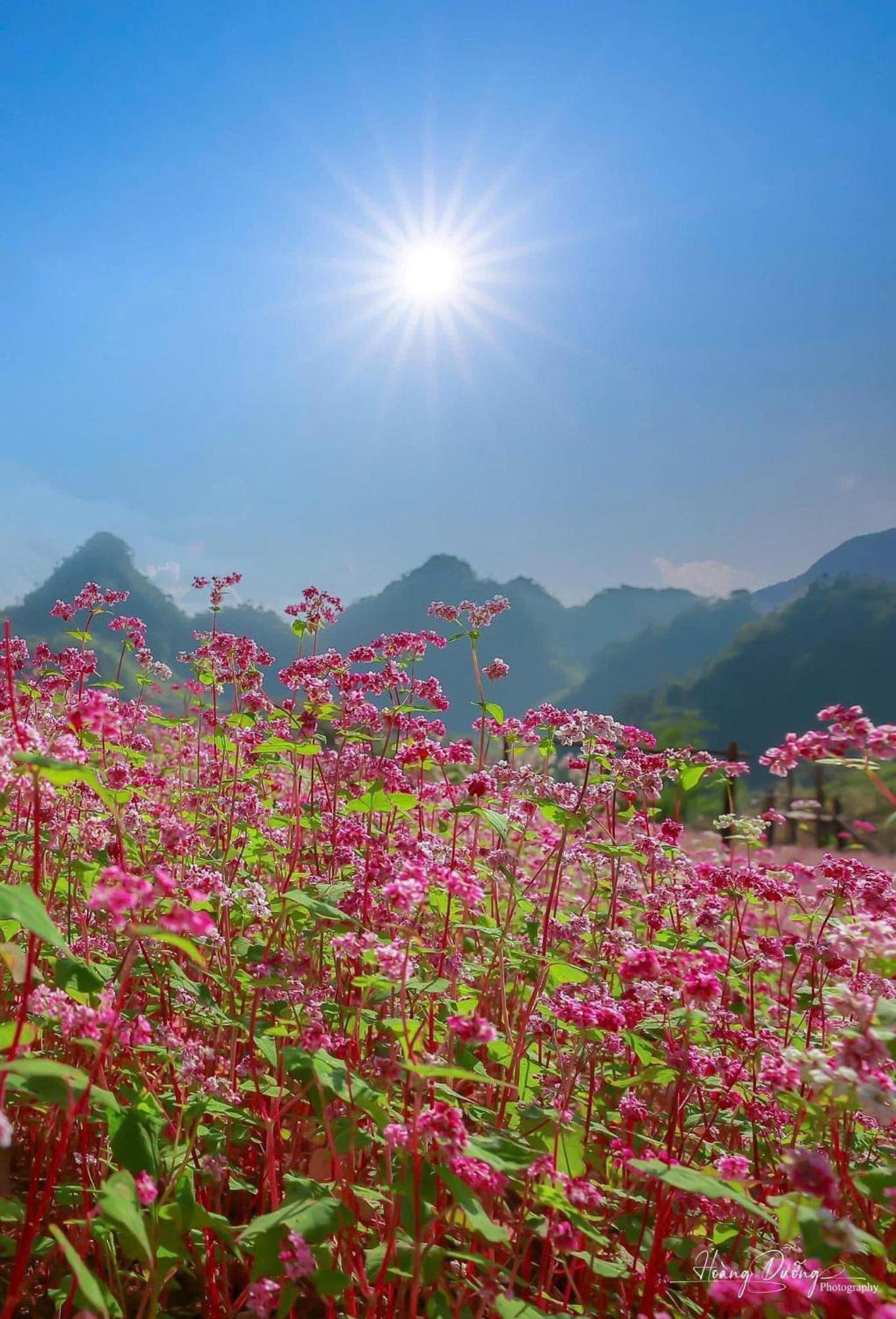 Thuy Anh Hotel Hà Giang Eksteriør billede